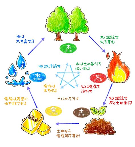 五行 金 性格|【五行占い】金（陽・陰）の2023年運勢や特徴・性。